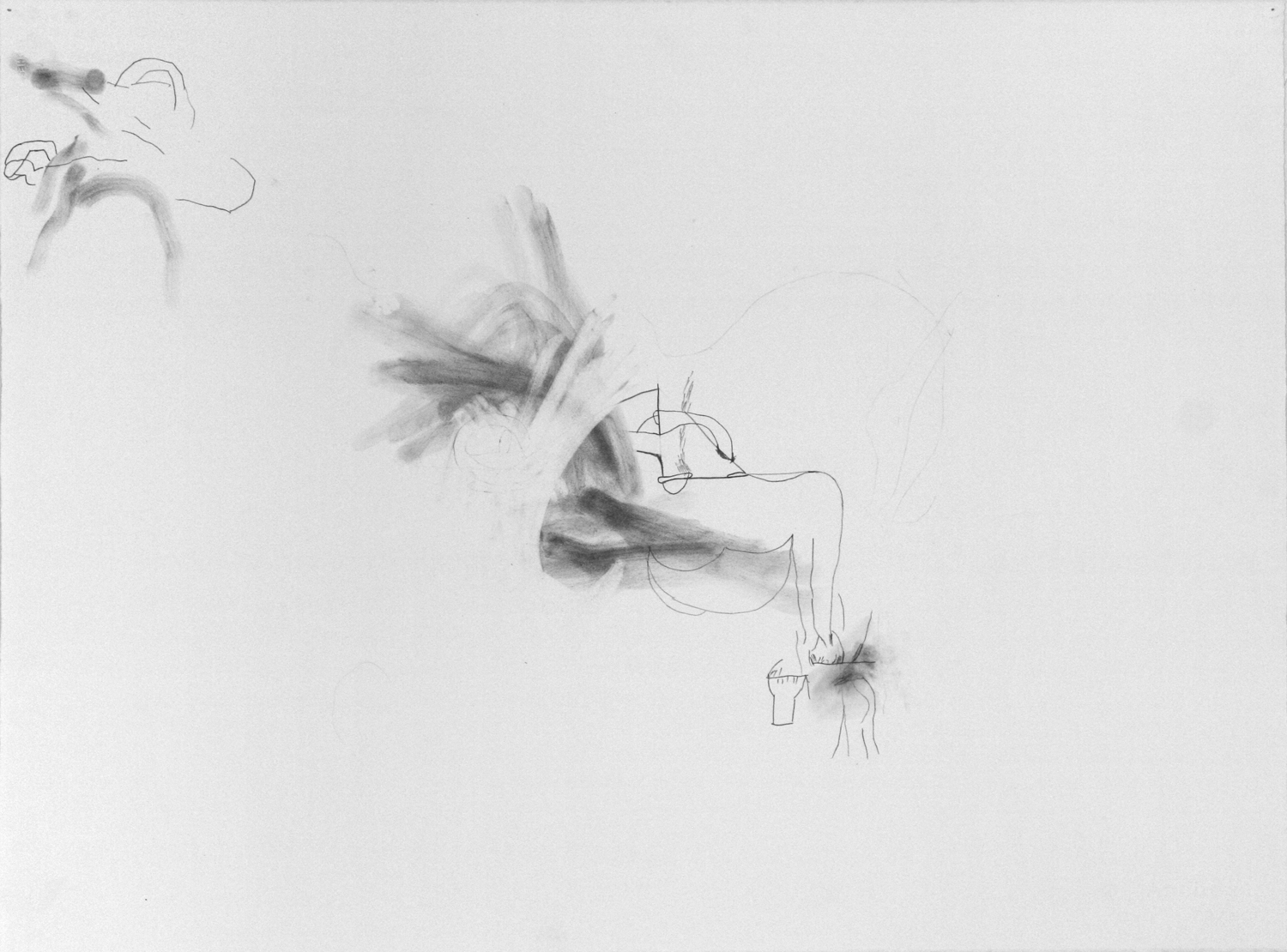  Untitled, 2013. 22" x 30", pencil on paper. 