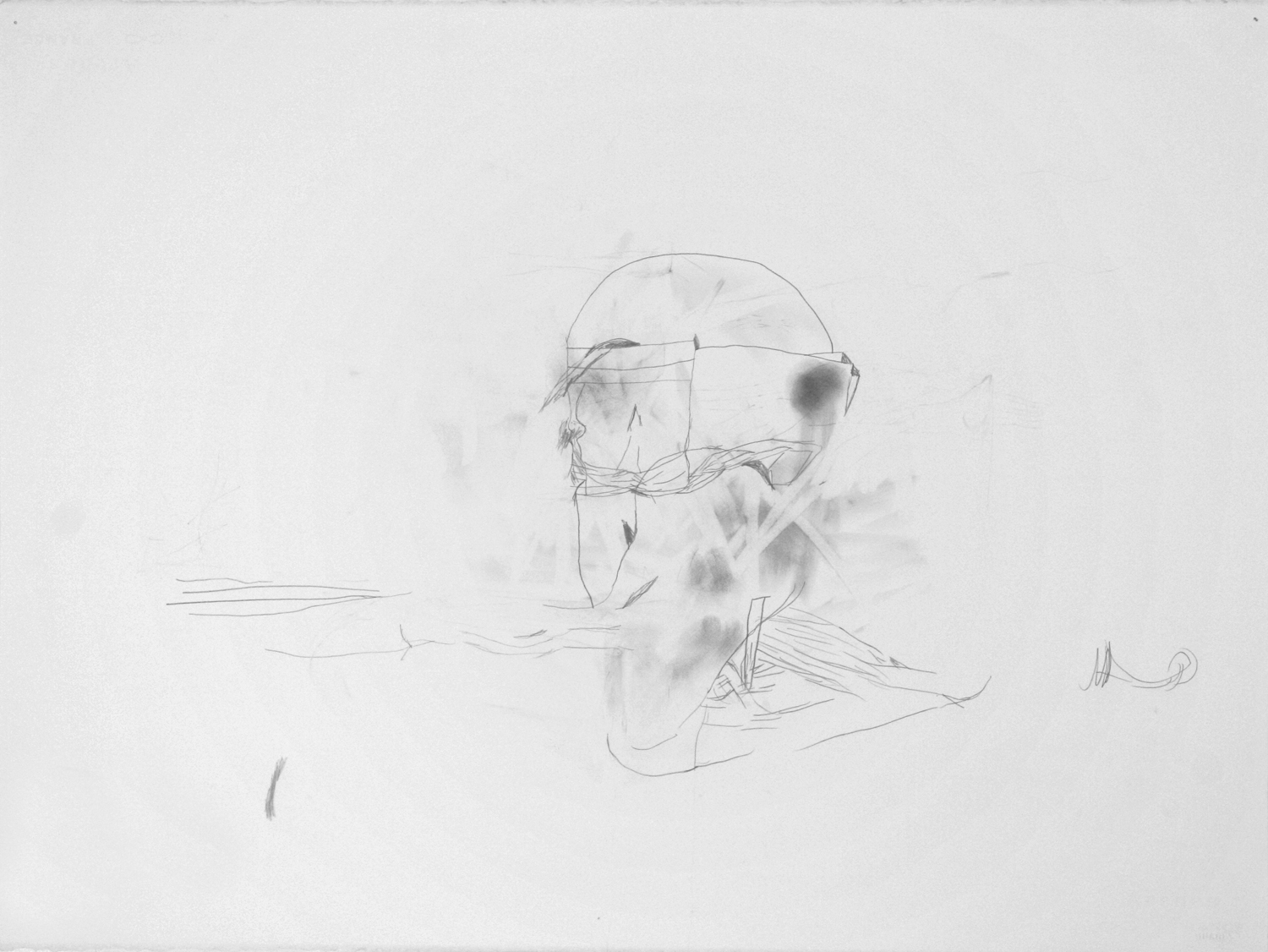  Untitled, 2013. 22" x 30", pencil on paper. 