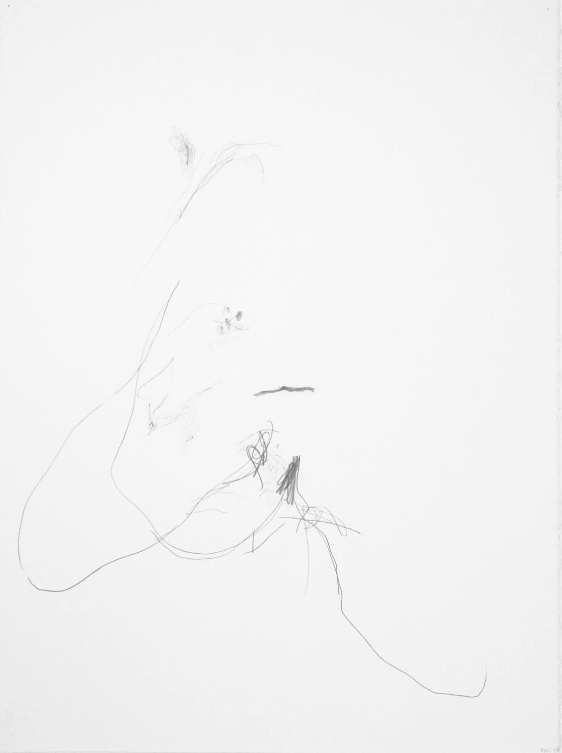  Untitled, 2013. 30" x 22", pencil on paper. 
