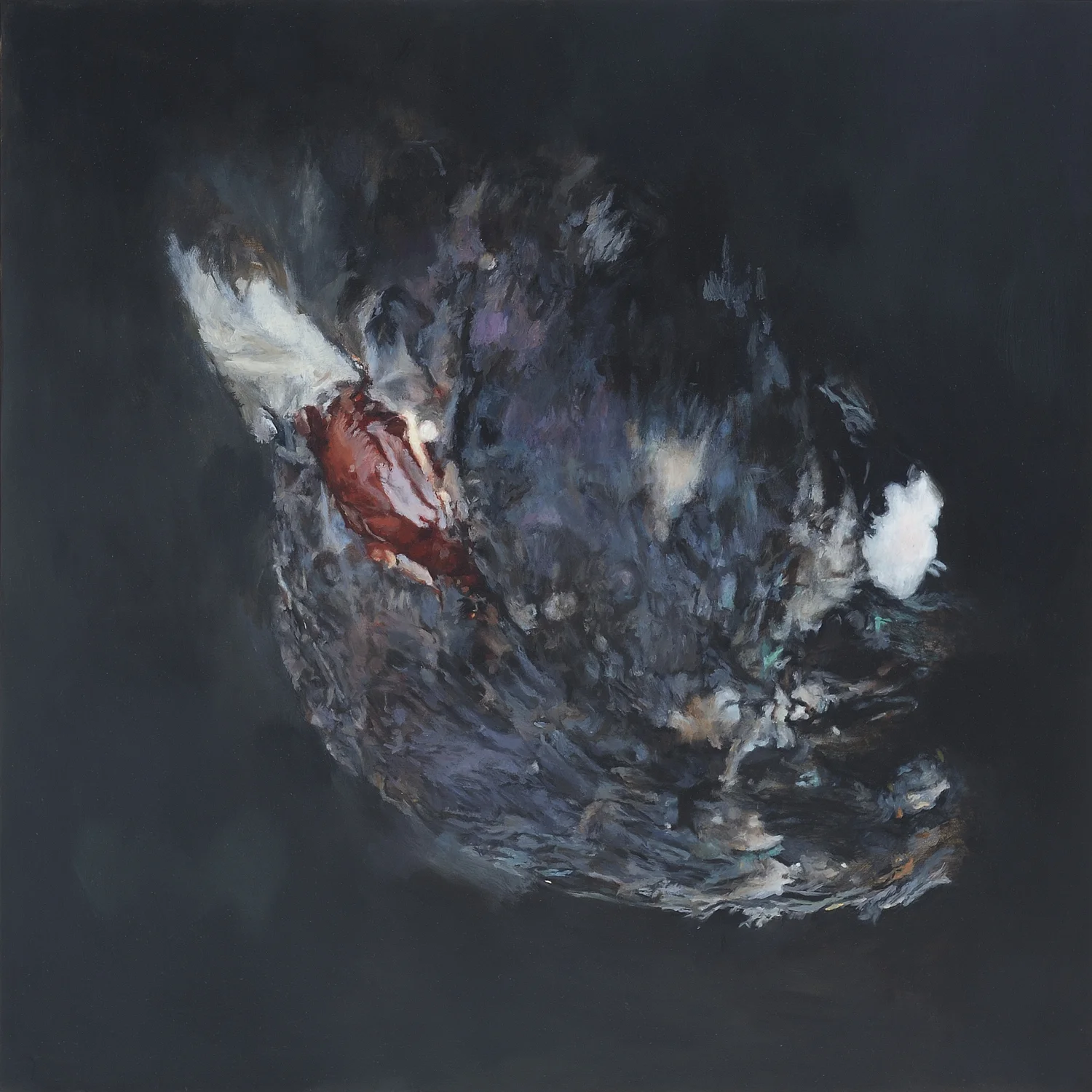 Adam's pigeon, left, 2008