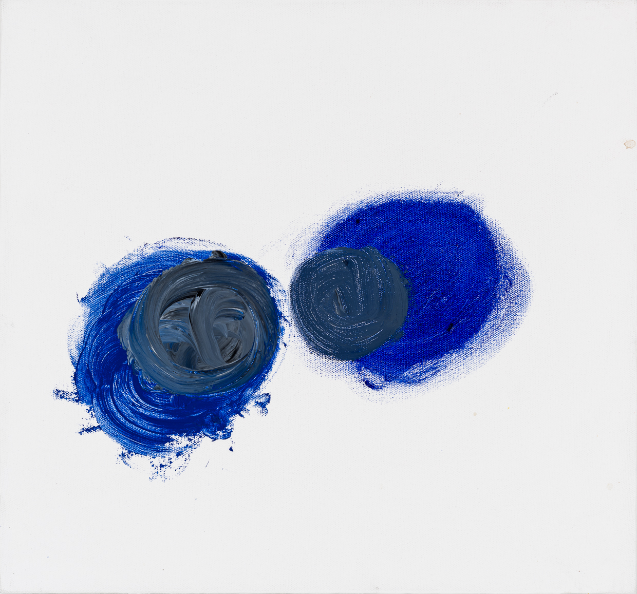  Blue-eyes, 2016. 14" x 15", oil on canvas. 