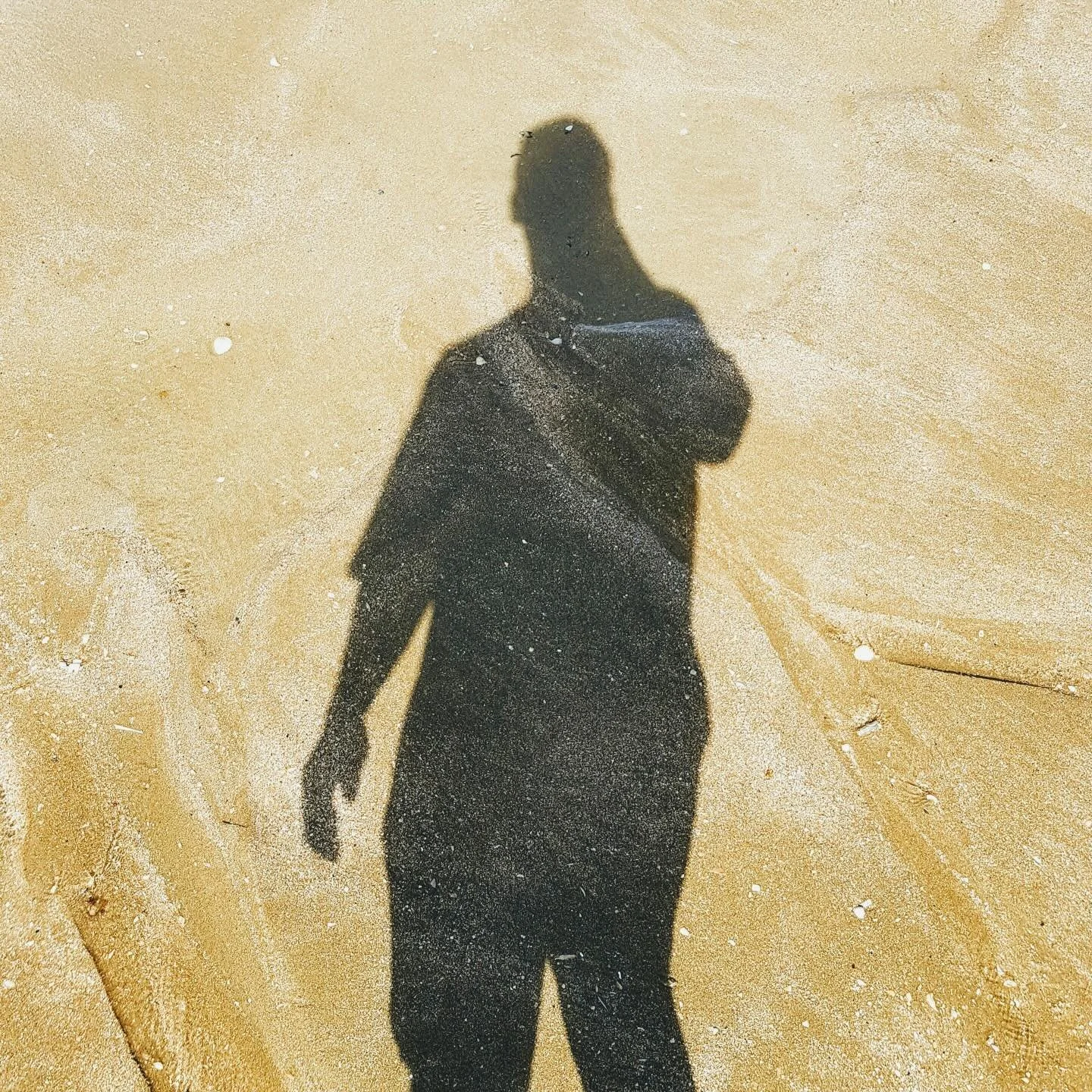 I&rsquo;ve finished the new album.