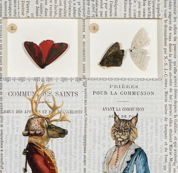 96D-Winged Adults .jpg