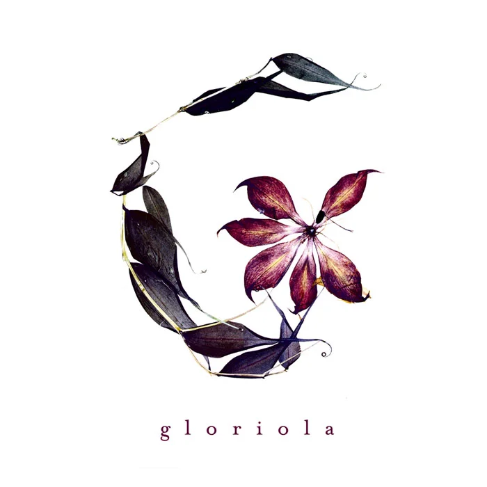 Brand development and logo design for a record label specializing in nature sounds. A pressed gloriola flower positioned in the shape of a 'G.'