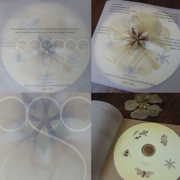 Entirely biodegradable CD package design for music made with the natural environment. Rice paper, dried flower and plantable cover stock. Melted beeswax used as adhesive to hold disk in place. The challenge was designing for transparent layers and finding biodegradable resources to hold the disk in an unconventional way.