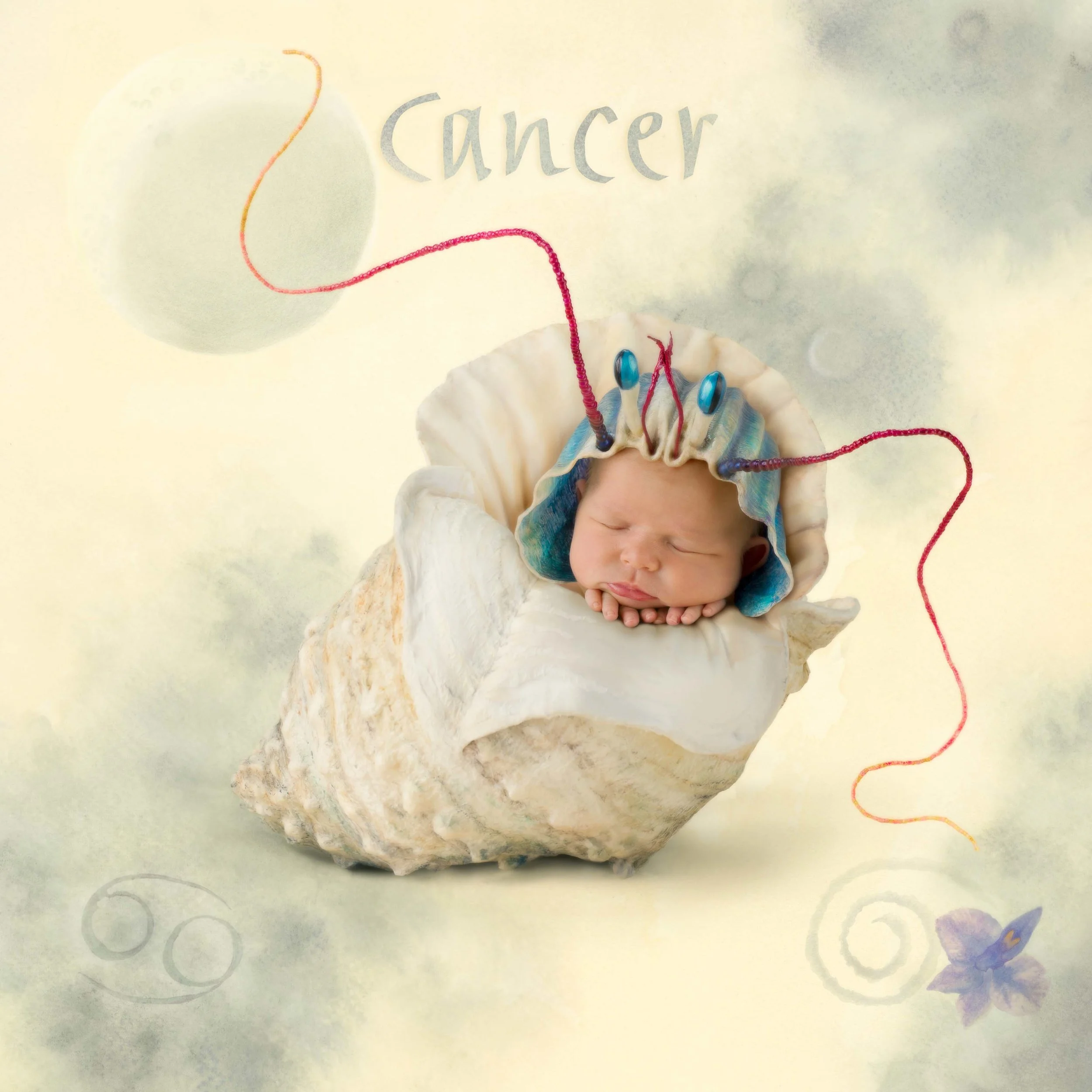 anne geddes zodiac dolls