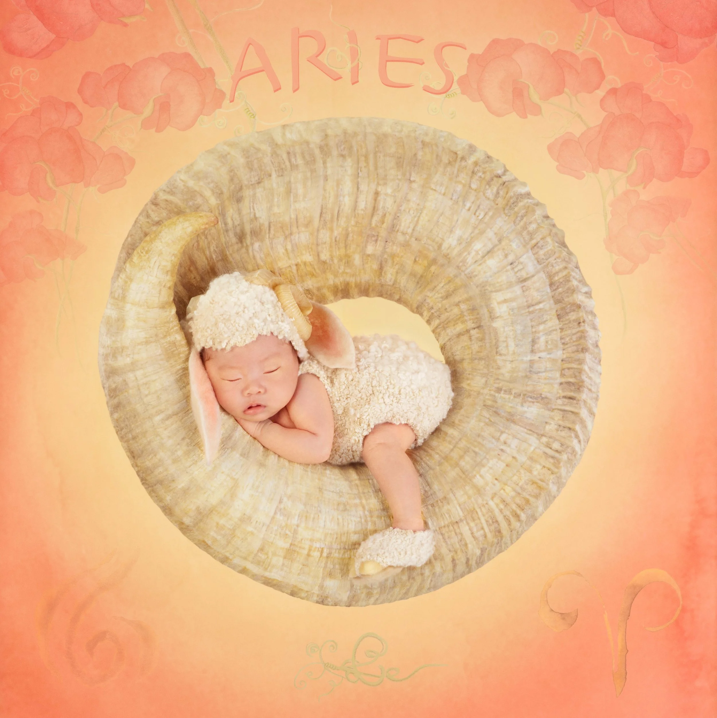 anne geddes zodiac dolls