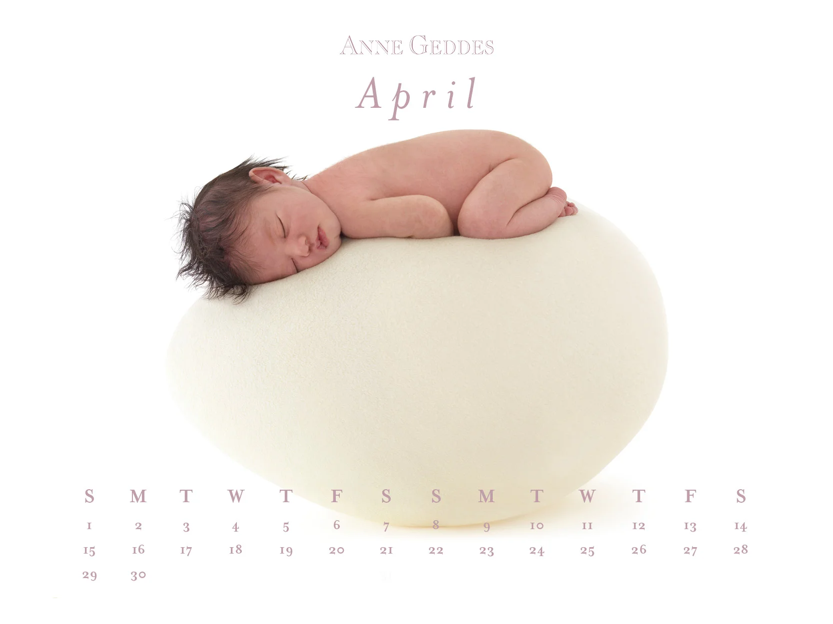 April800x600.jpg