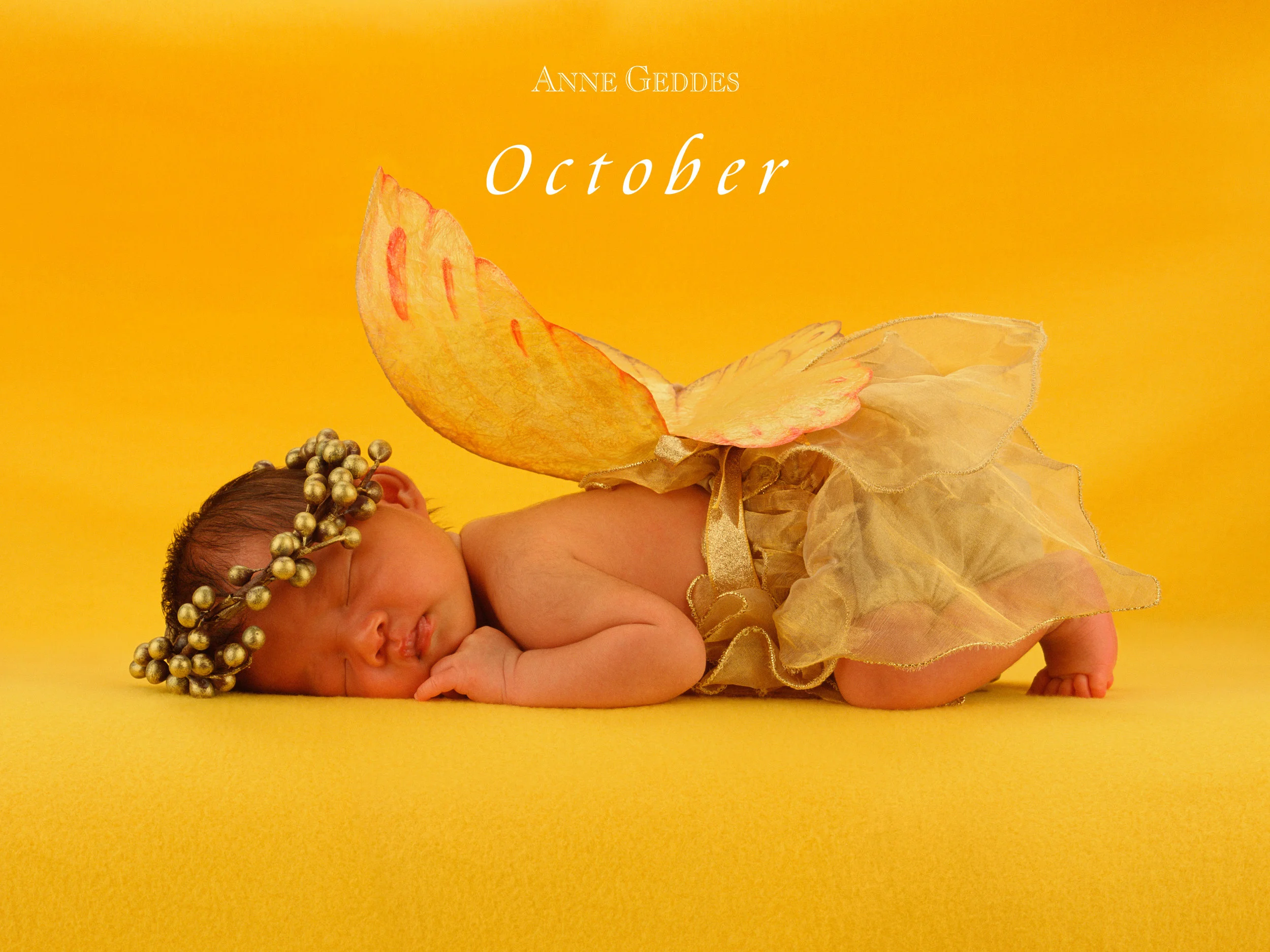 Oct800x600.jpg