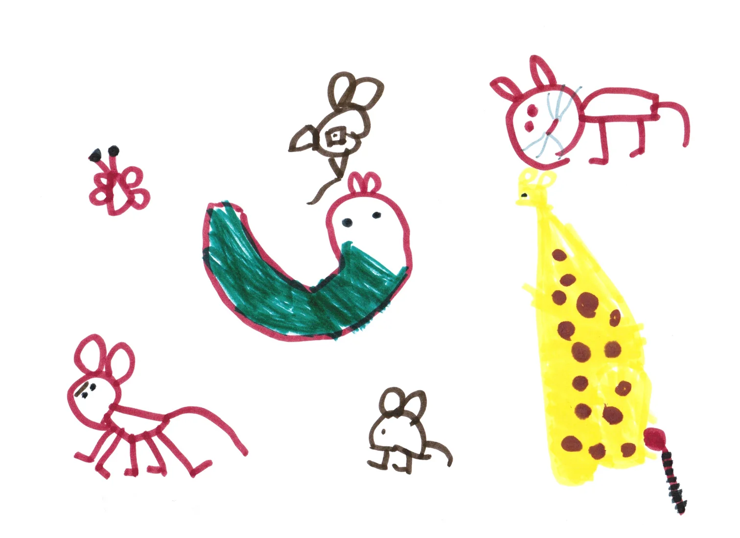 Mia — The animals