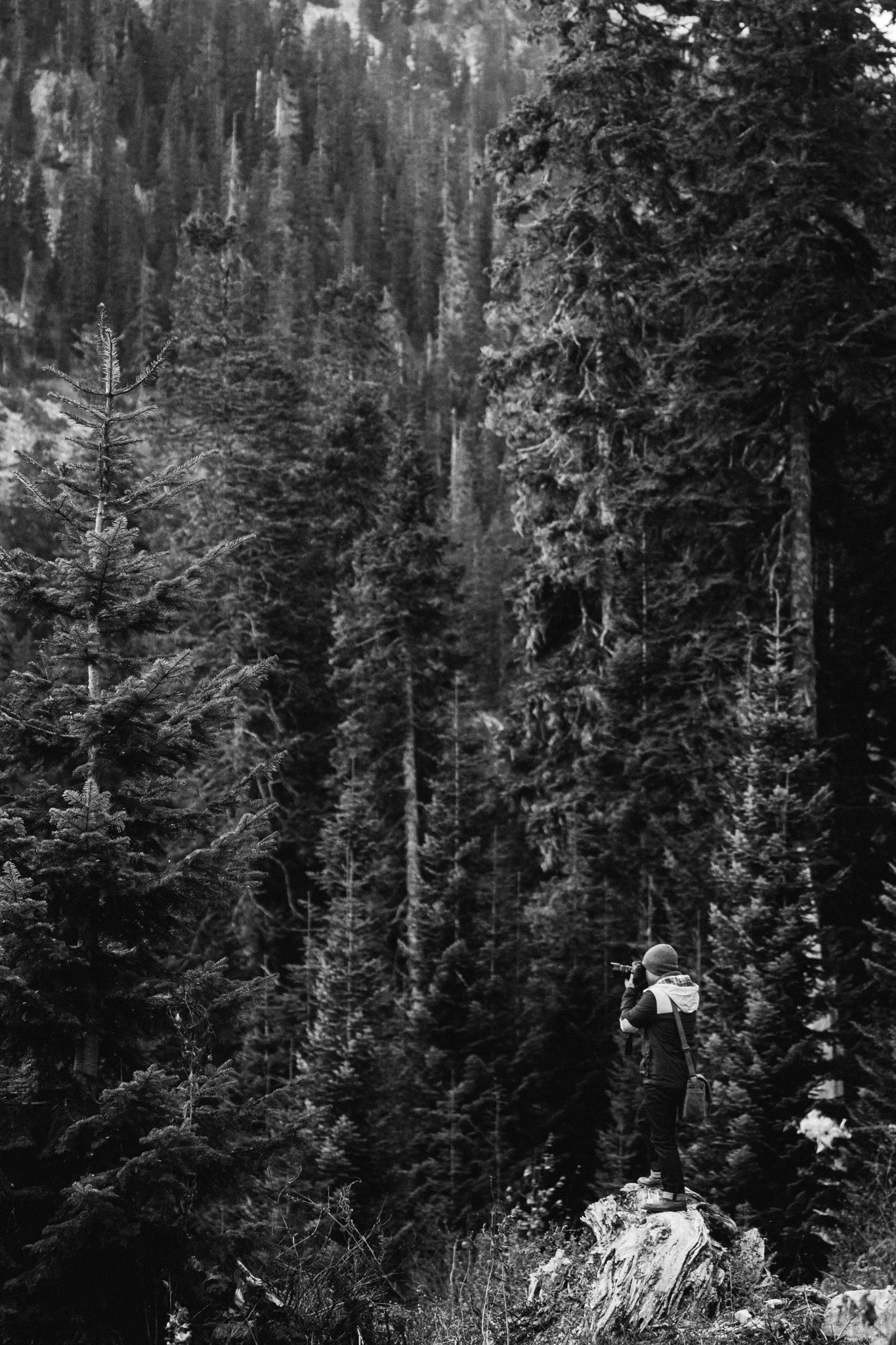 TheHike_26.jpg
