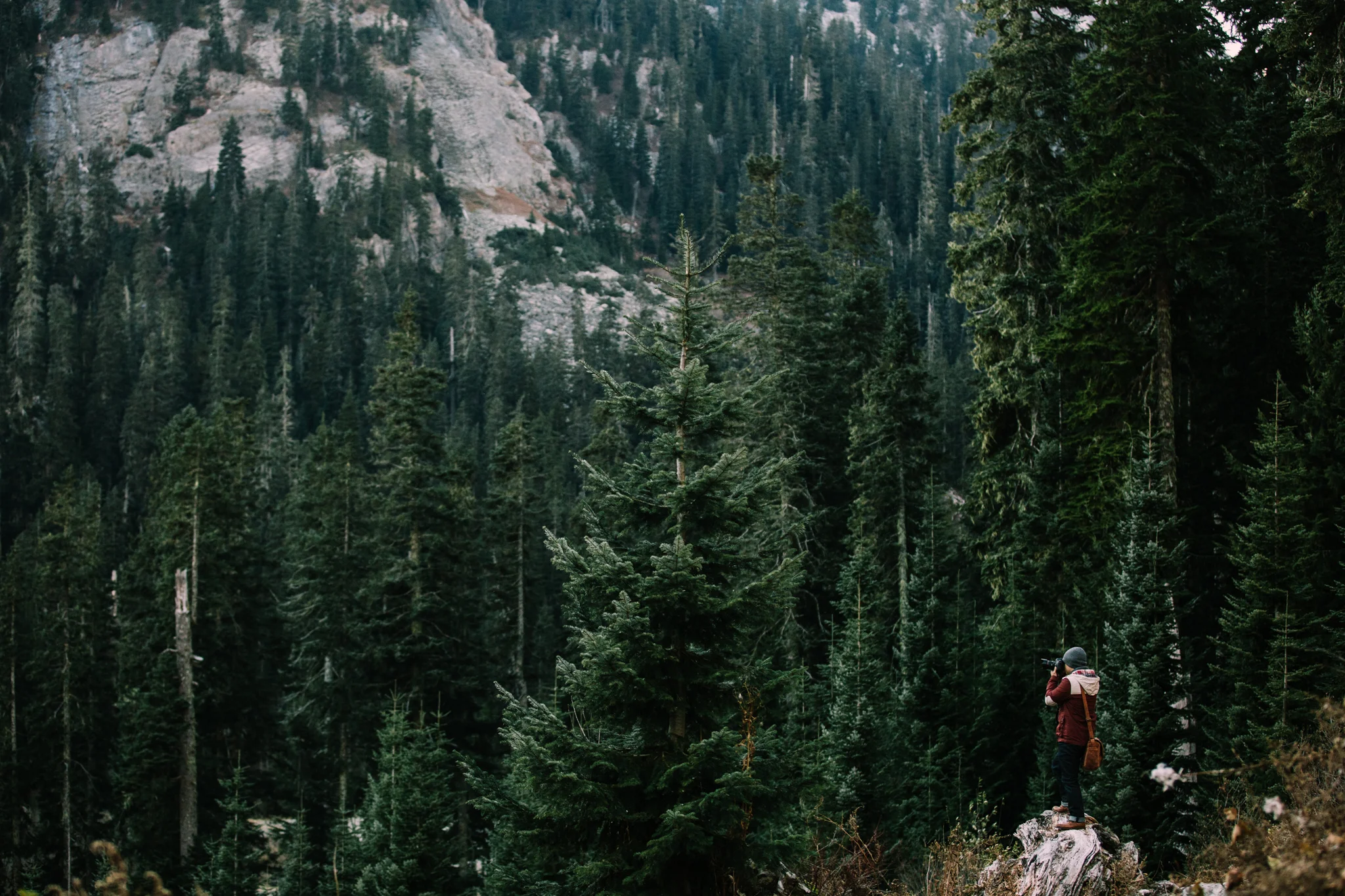 TheHike_27.jpg