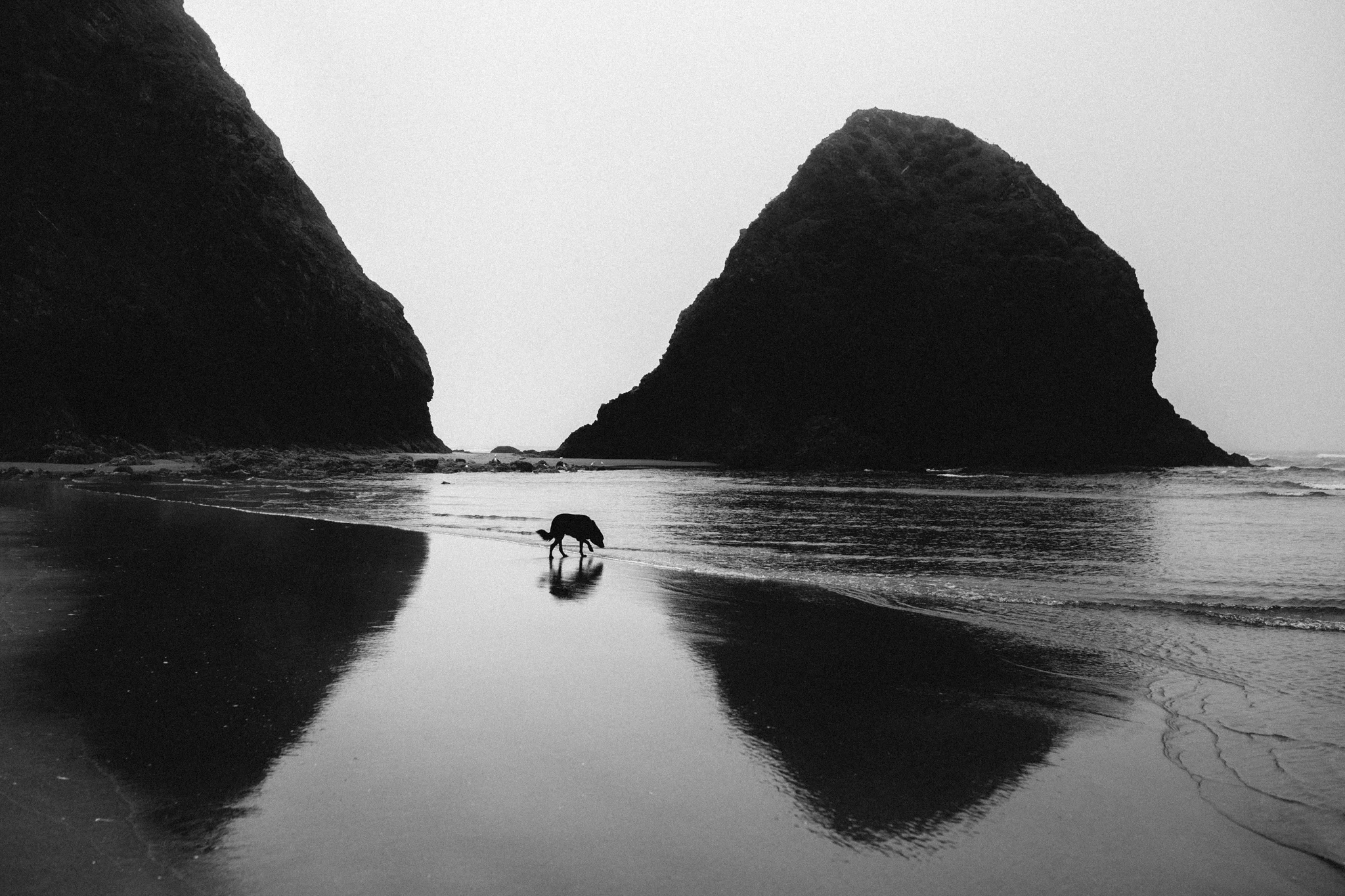 14_0801_Oregon_Wicklund_VAC-5.jpg