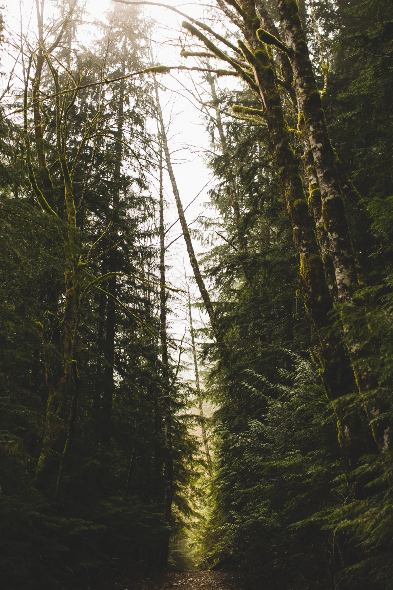 hike_1-5.jpg
