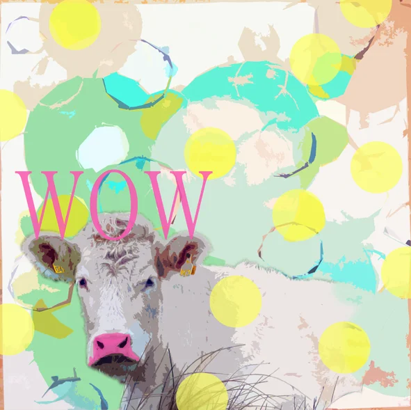 WOWCOW