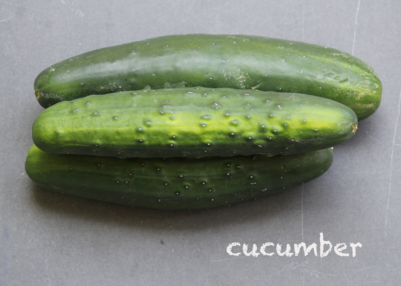 SFC_cucumber_labeled.jpg