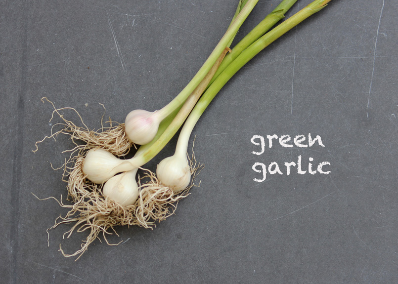SFC_garlic_green_labeled.jpg