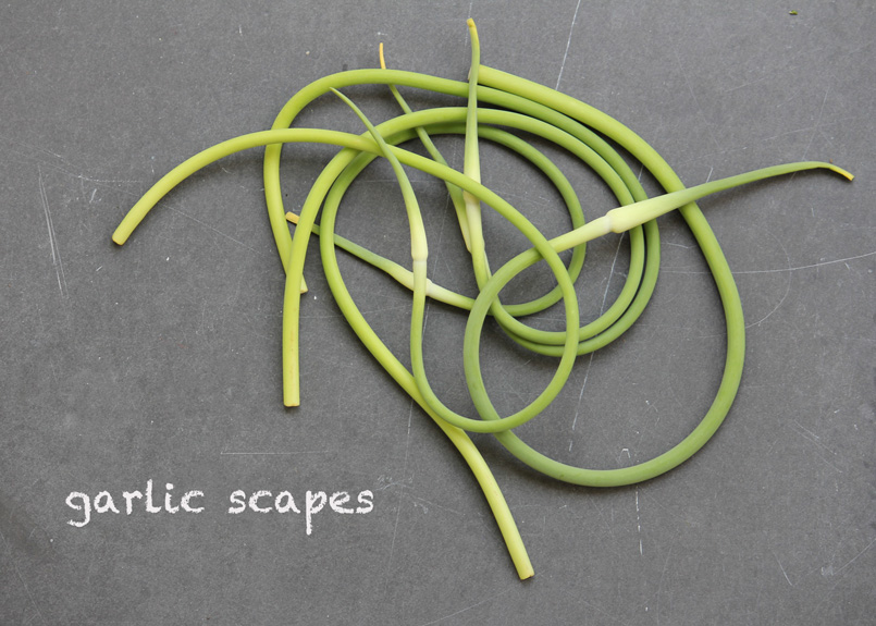 SFC_garlic_scapes_labeled.jpg