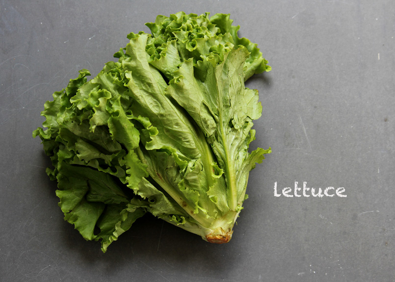 SFC_lettuce_labeled.jpg