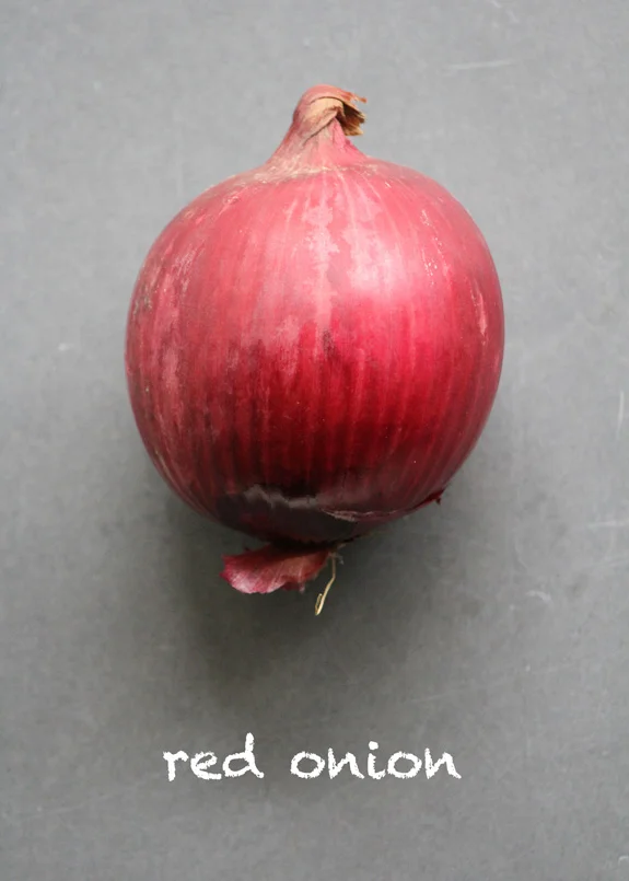 SFC_onion_red_labeled.jpg