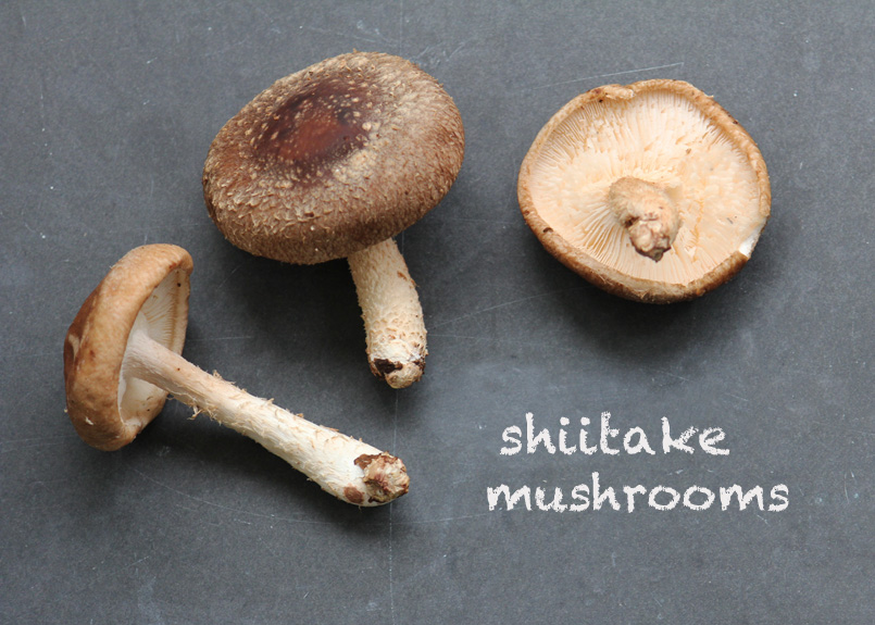 SFC_mushrooms_shiitake_labeled.jpg