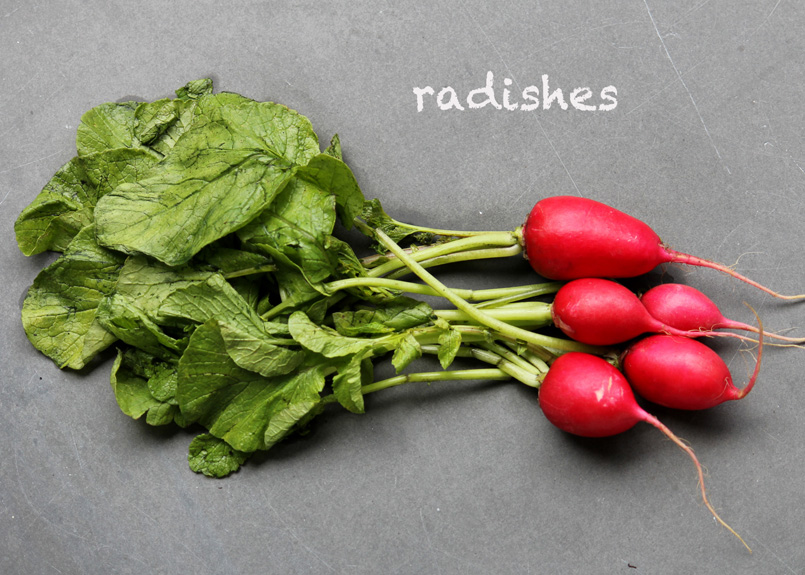 SFC_radish_labeled.jpg