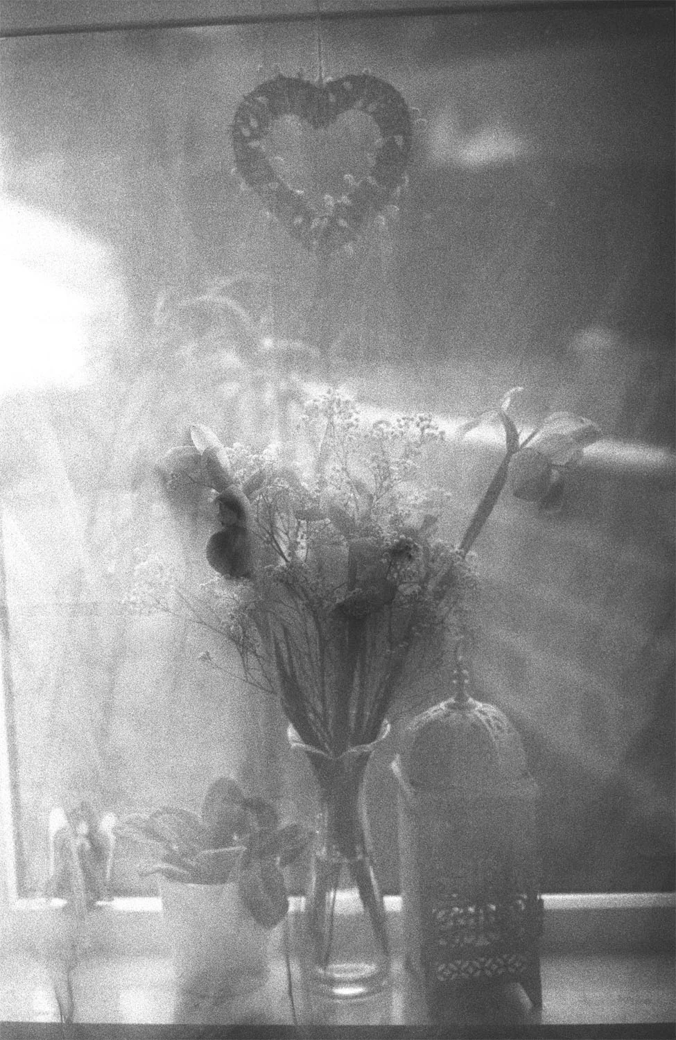 Untitled-33web.jpg
