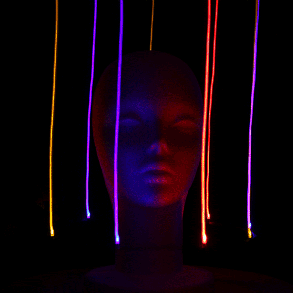 Untitled1.gif