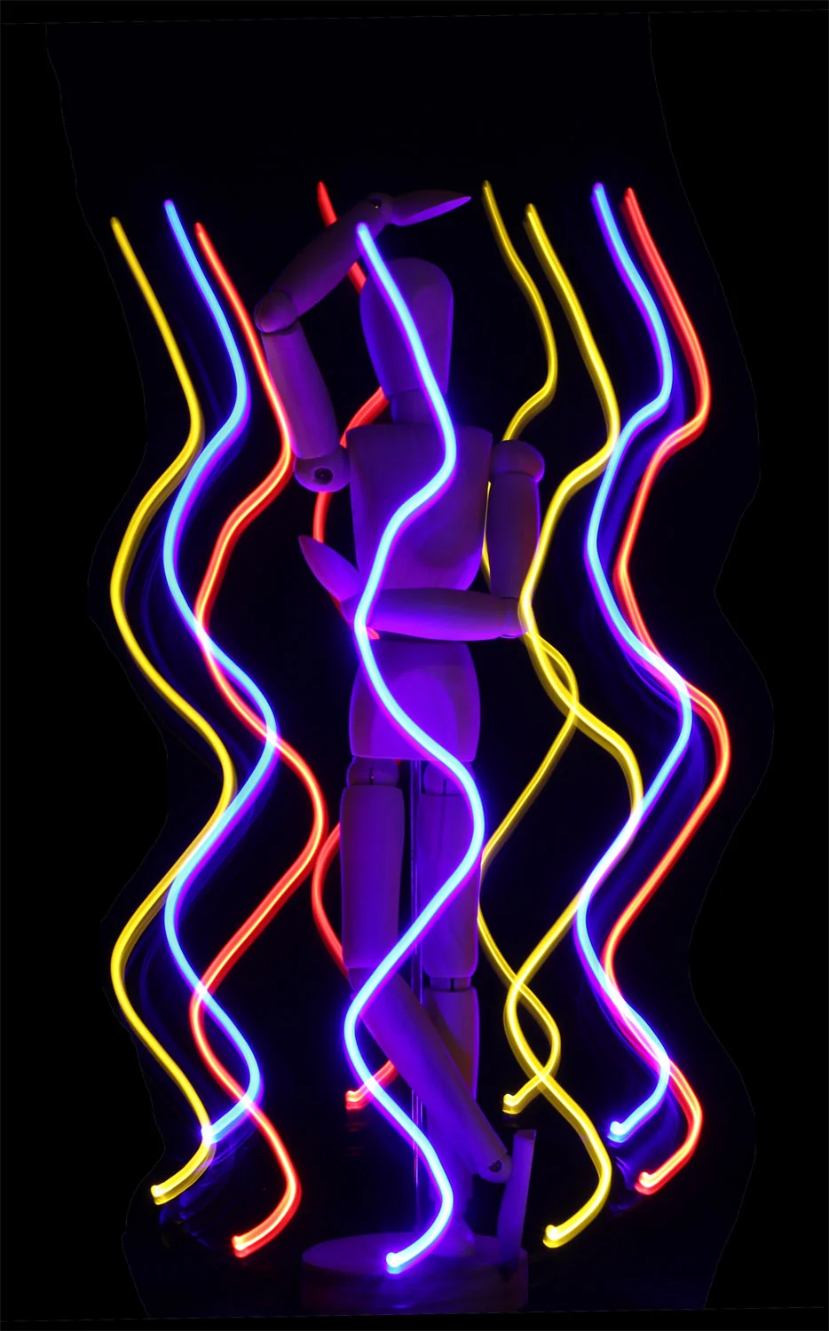 WobblePortraitWeb.jpg