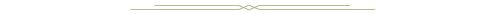 Ornament.png