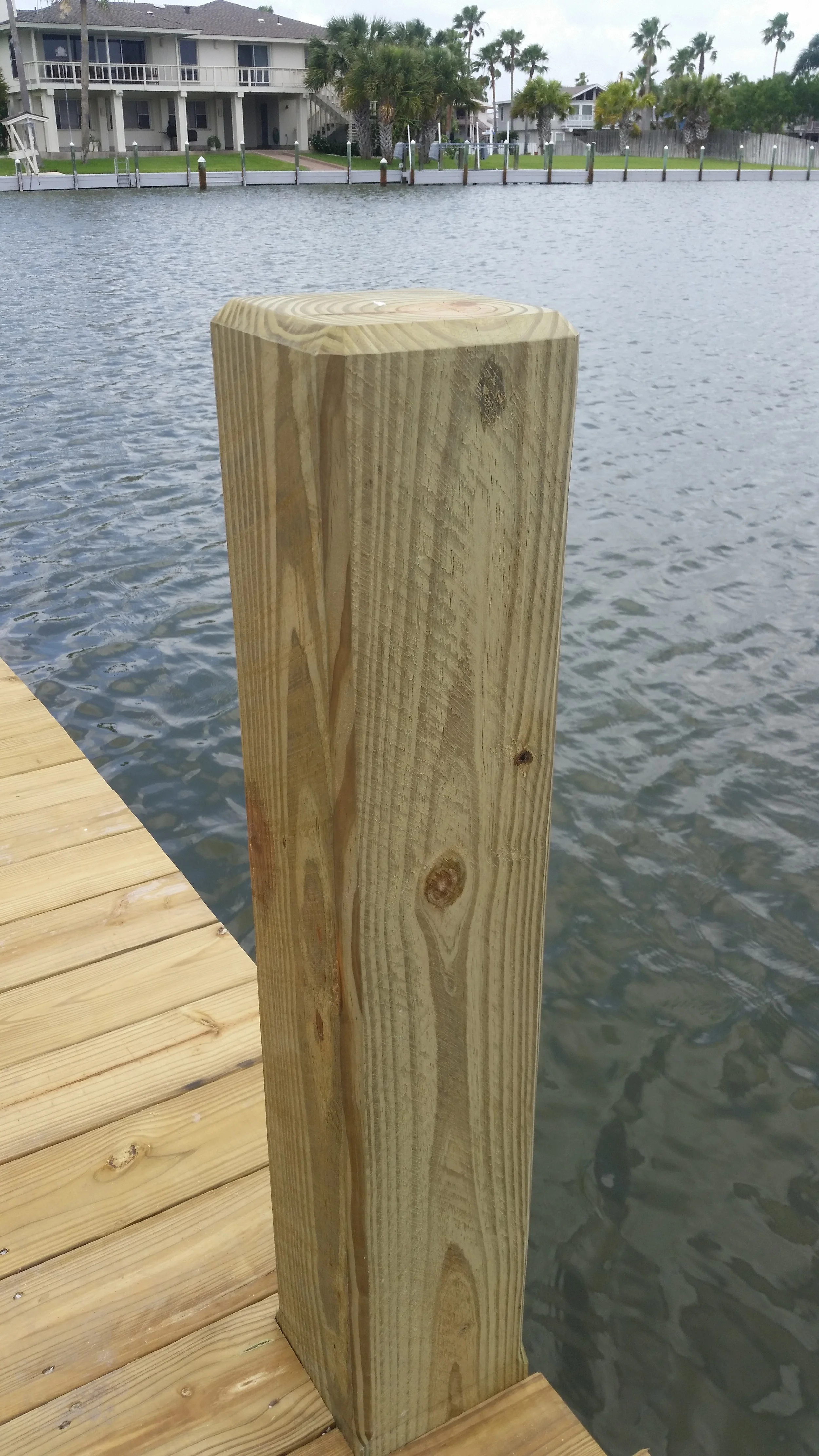 Detail on a piling Rockport, Texas