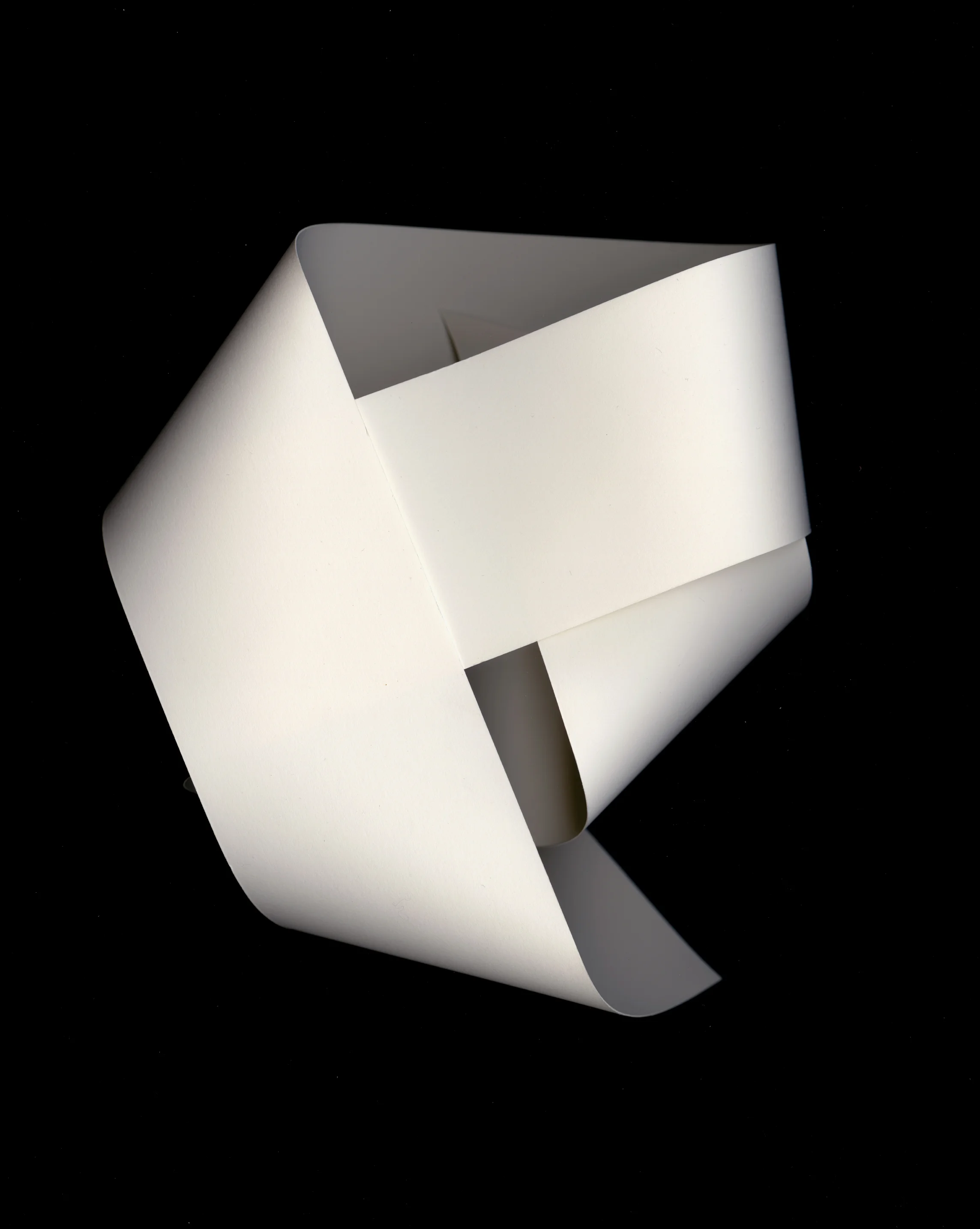 # 8 , c -print, 40 x 32" 2010