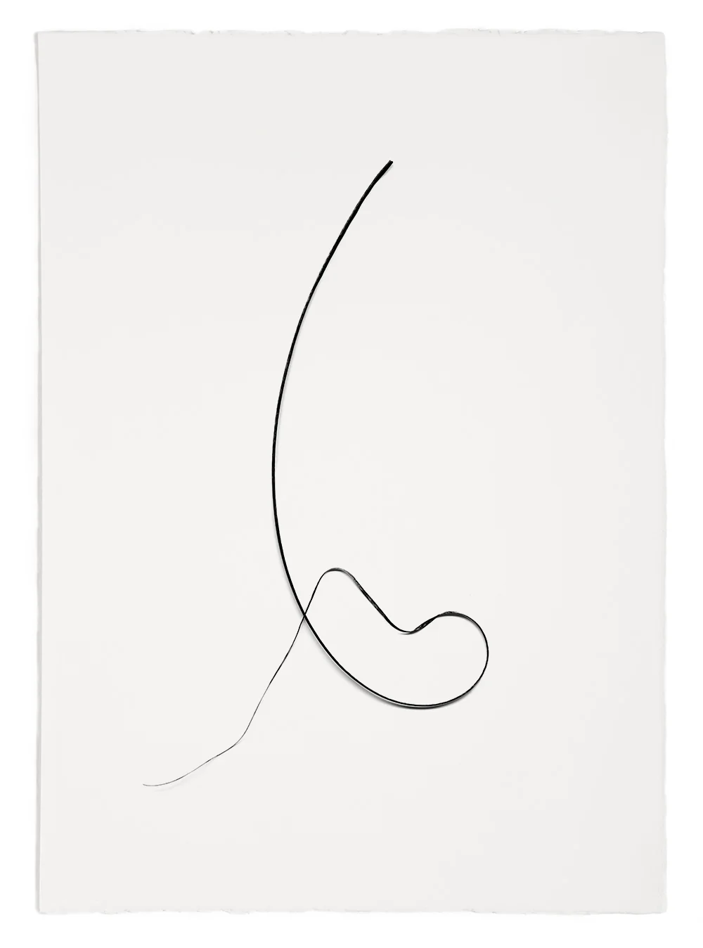 Blades of Grass # 40 , inkjet print, 40 x 32" 2003