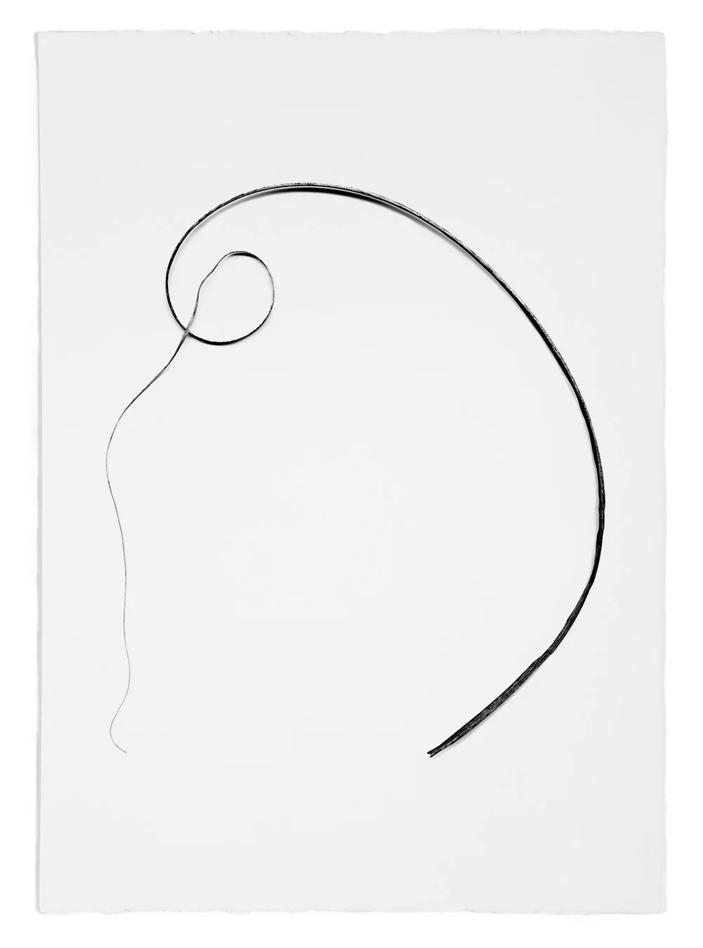 Blades of Grass # 43 , inkjet print, 40 x 32" 2003