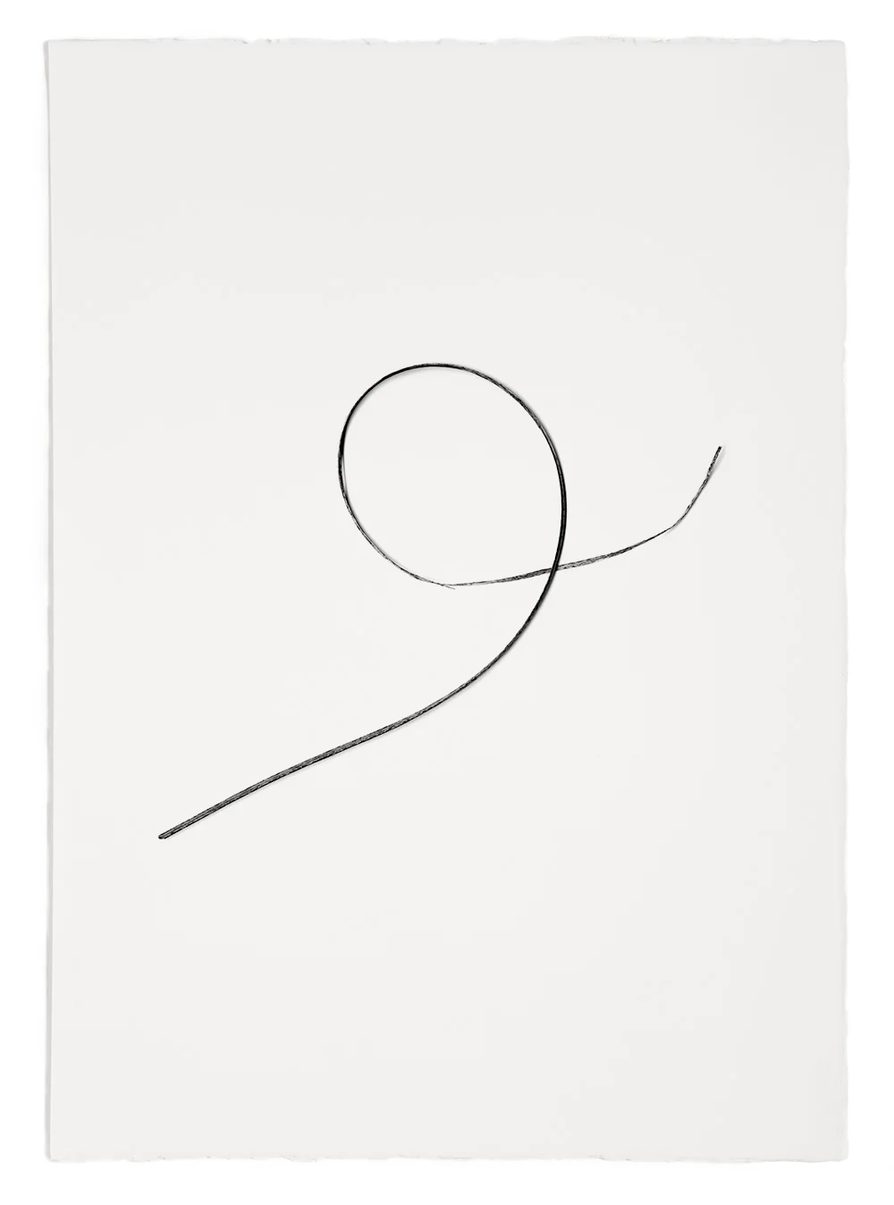 Blades of Grass # 52 , inkjet print, 40 x 32" 2003