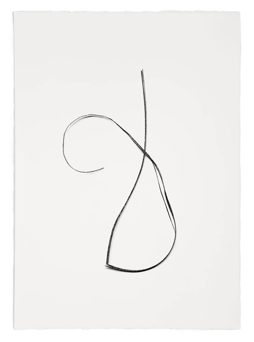 Blades of Grass # 54 , inkjet print, 40 x 32" 2003