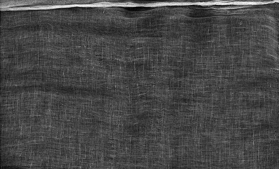 # 2 inkjet print 15 x 25" 2006