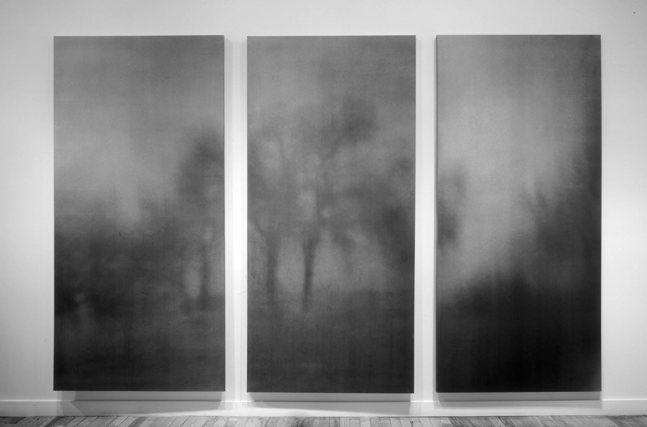 Yancey Richardson Gallery, New York photosensitized linen prints, 84 x 36" each, 1989