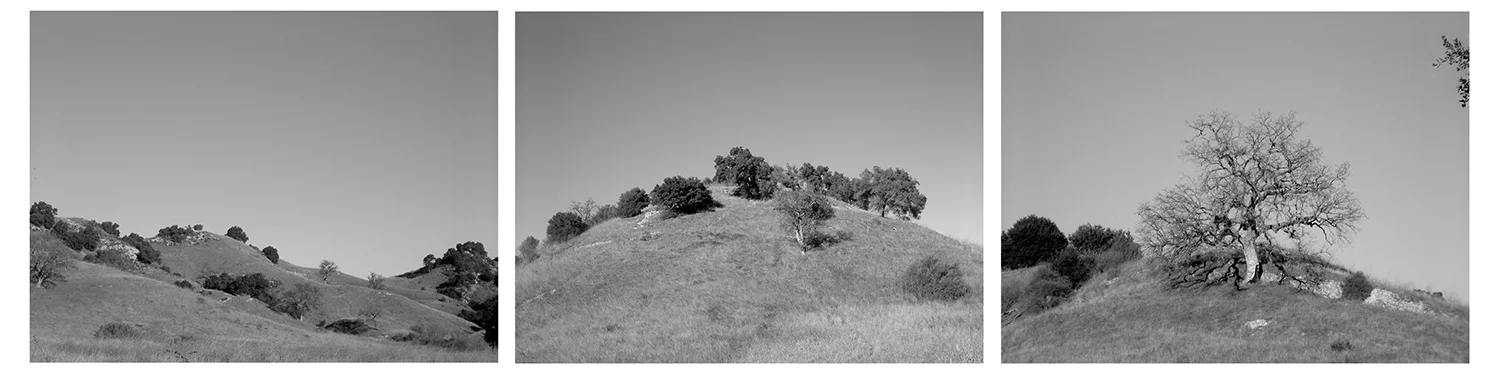Malibu Canyon 2002