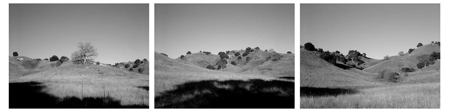 Malibu Canyon 2002