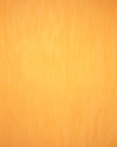 #14Y , c-print, size varies, 2004
