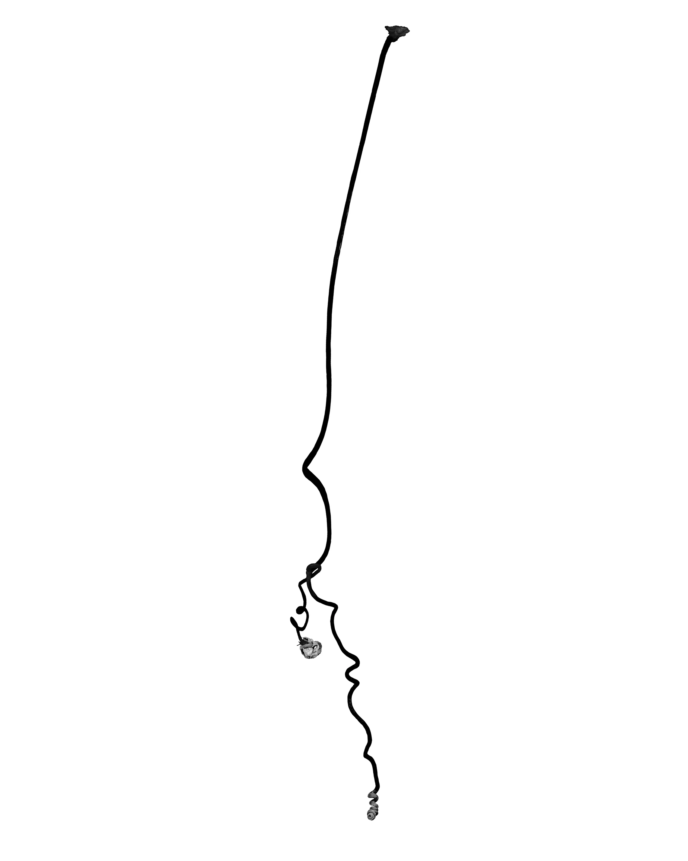# 16 , inkjet print, 40 x 32" 2002