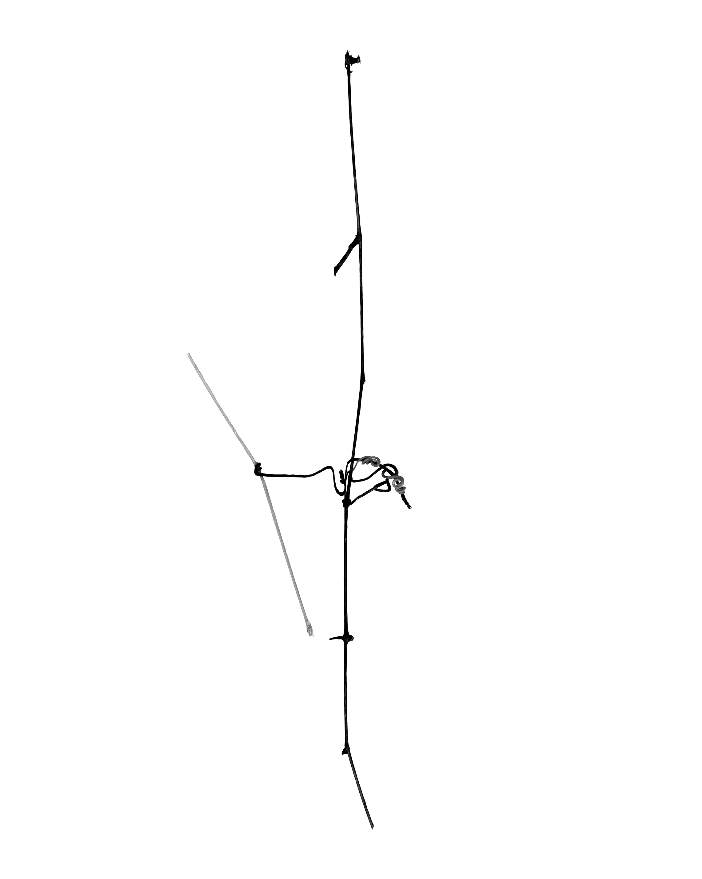 # 11 , inkjet print, 40 x 32" 2002