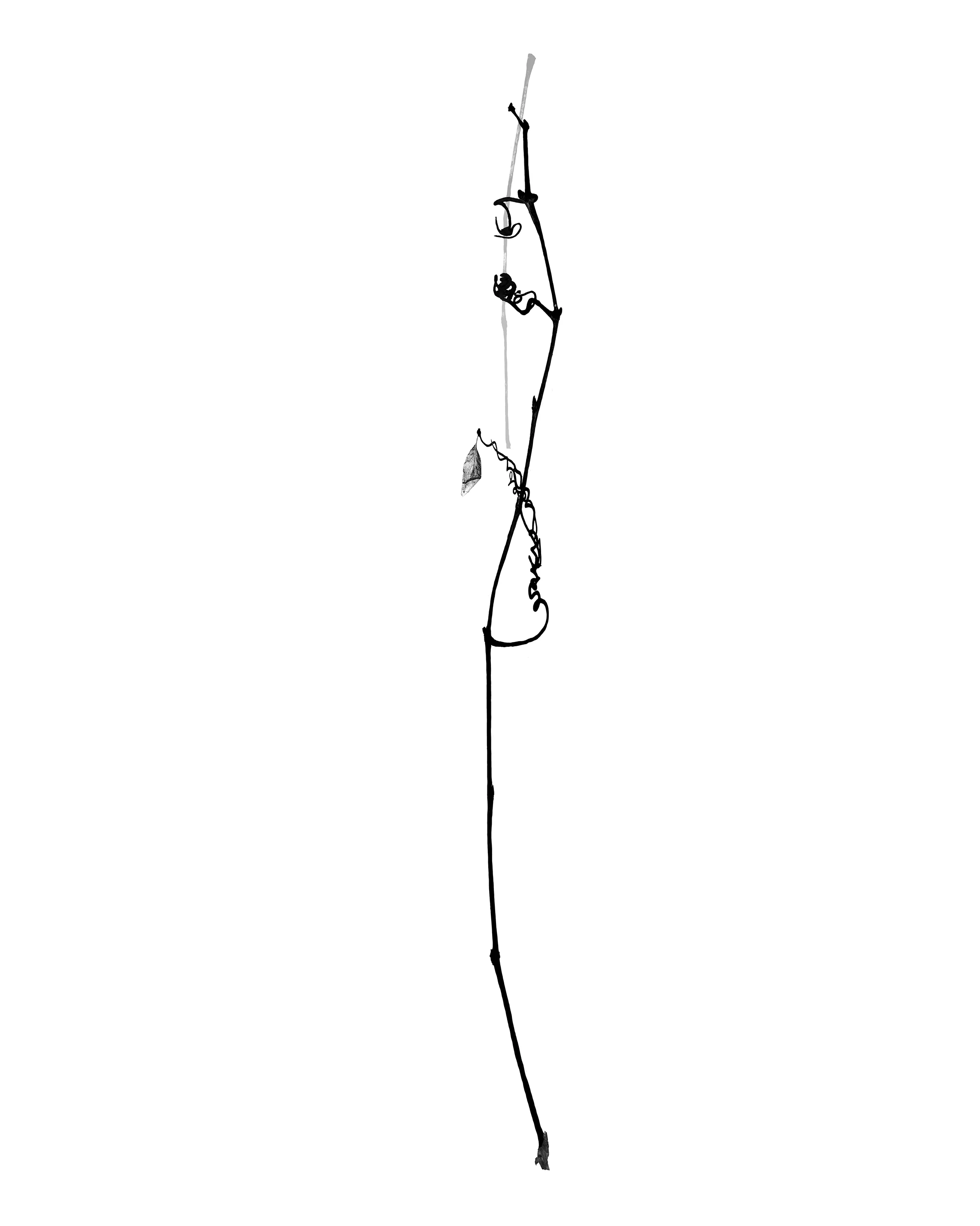 # 17 , inkjet print, 40 x 32" 2002