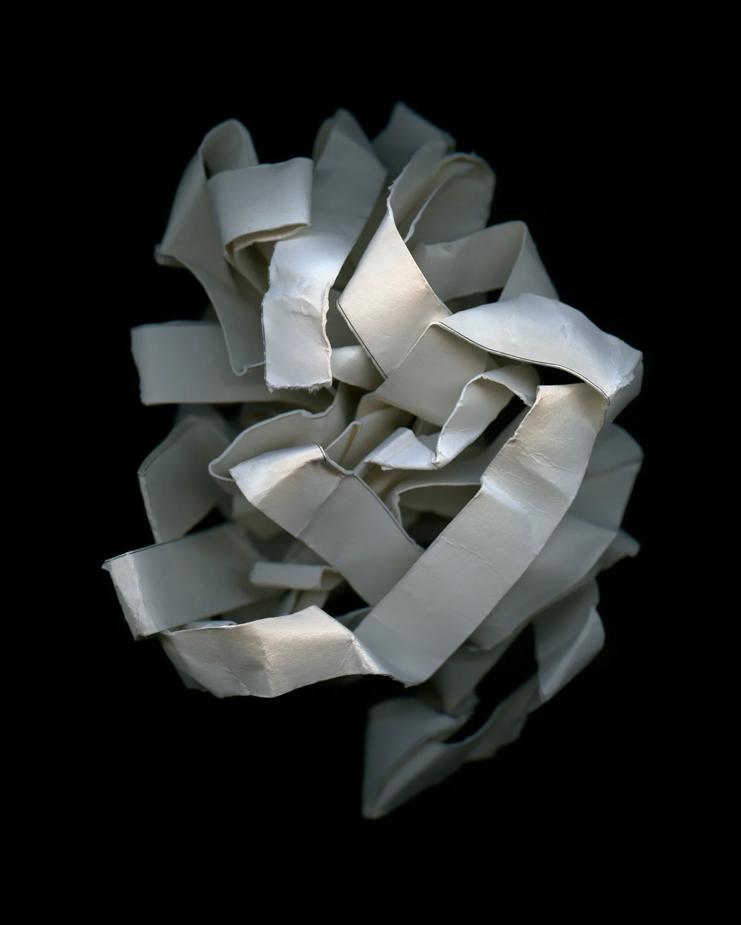 # 3 c-print 40 x 32" 2010