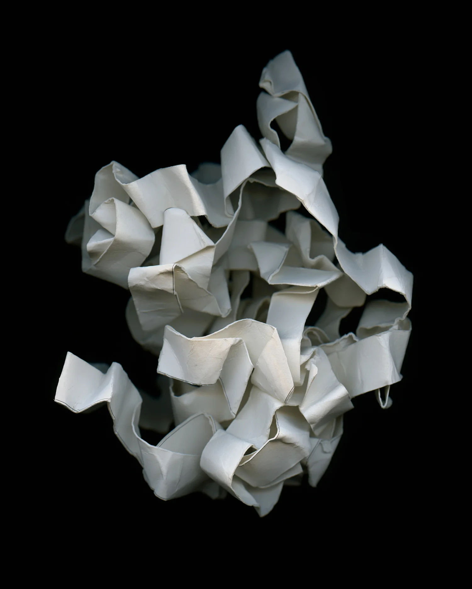 # 6 c-print 40 x 32" 2010