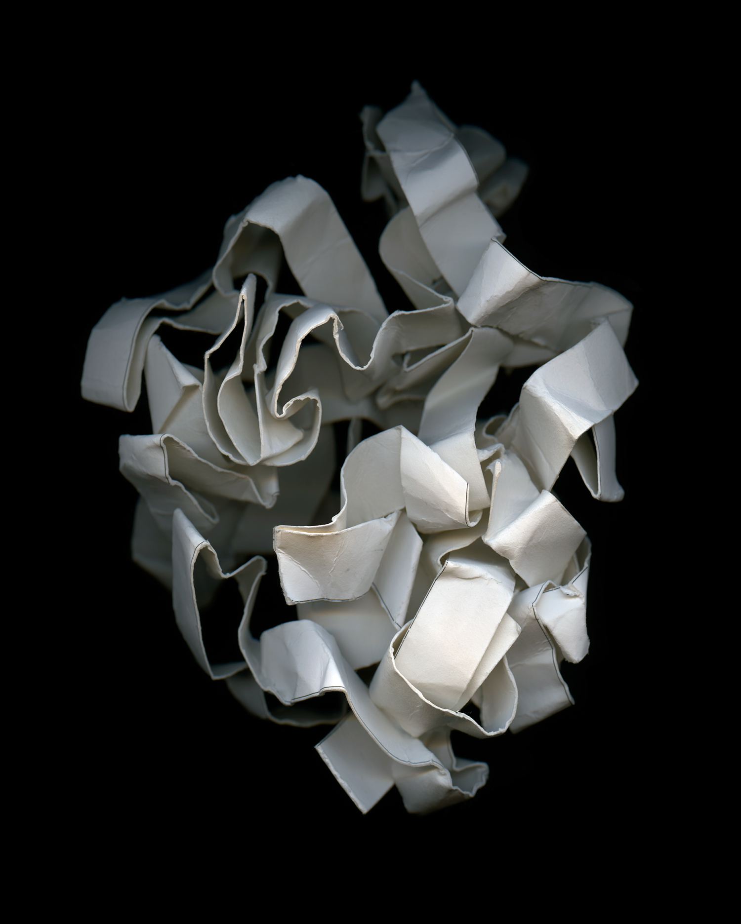 Tethered # 7, c-print 40 x 32" 2010