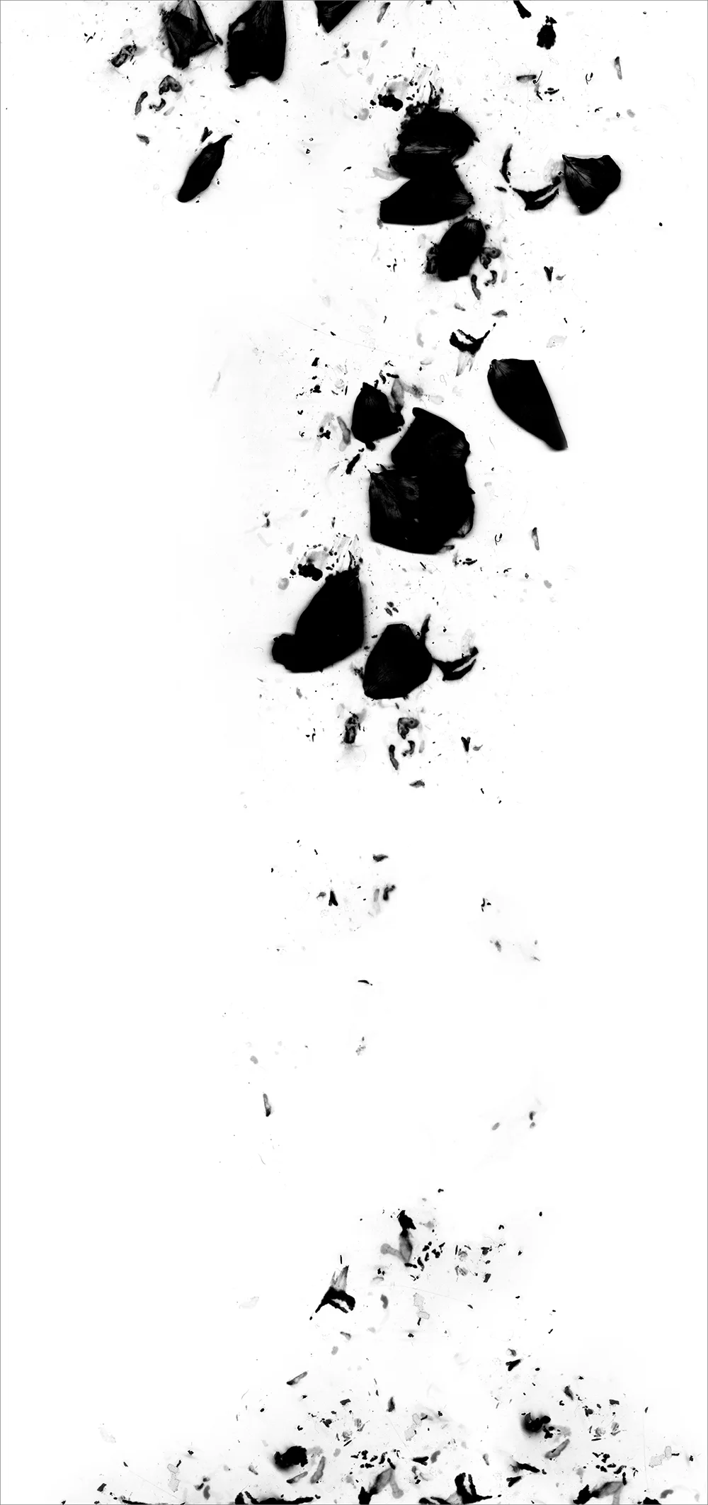 # 1 inkjet print, 90 x 44" 2009