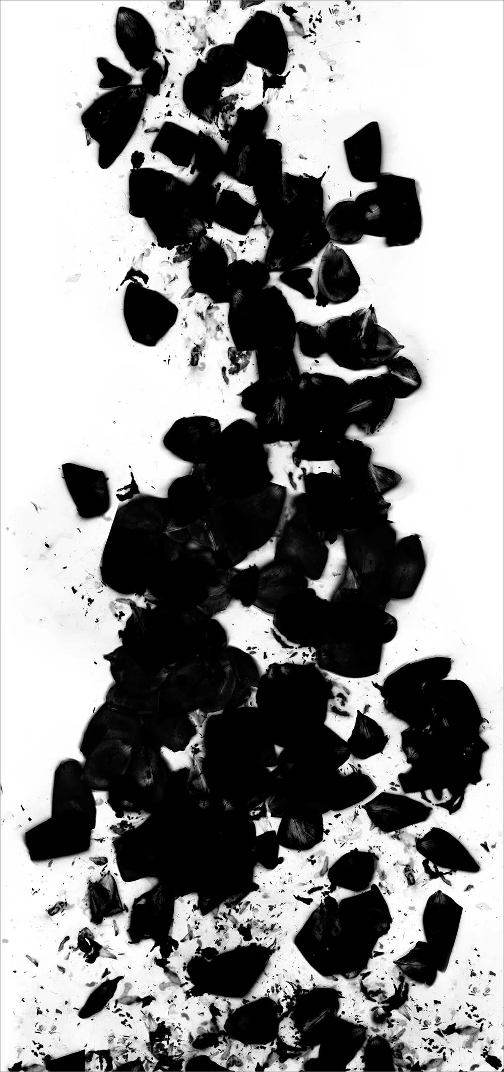 # 5 inkjet print , 90 x 44" 2009