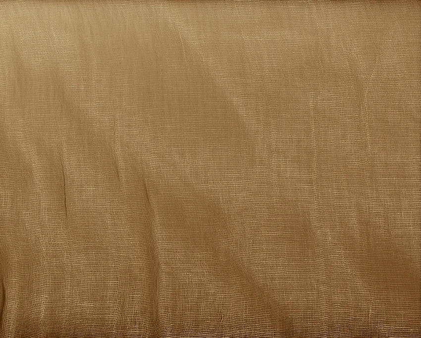 # 1 c-print 40 x 50", 2002